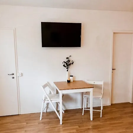 Apartment Studio In The Heart Of Zurich