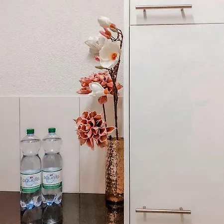 Apartment Studio In The Heart Of Zurich