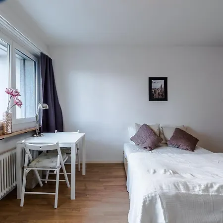 Studio In The Heart Of Zurich