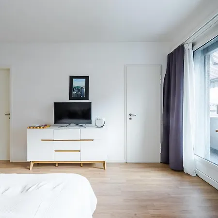 Studio In The Heart Of Apartment Zurich